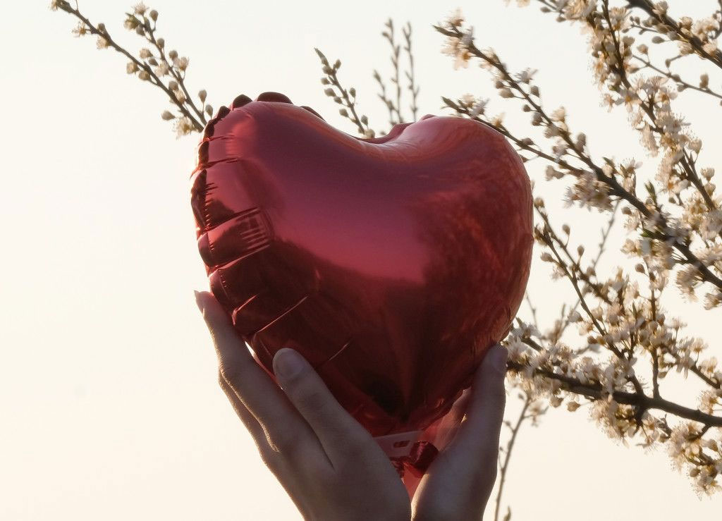 Cardiocoaching